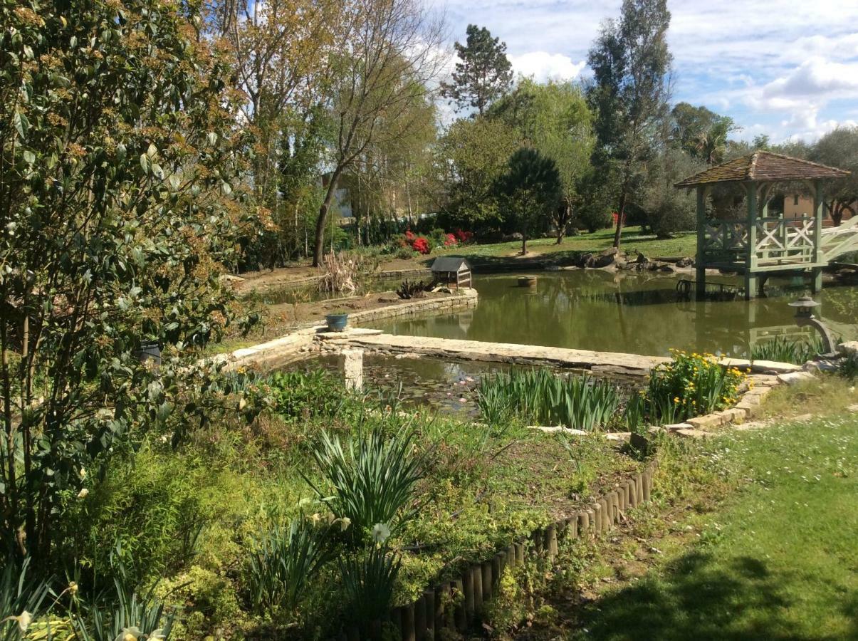 Gite Le Bois De Montpouillan Marmande Kültér fotó
