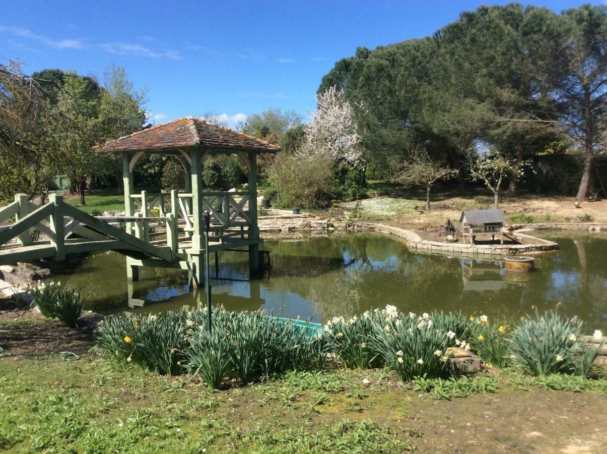 Gite Le Bois De Montpouillan Marmande Kültér fotó